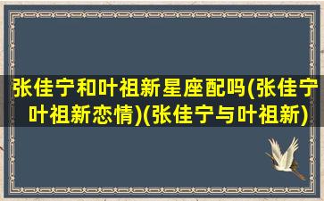 张佳宁和叶祖新星座配吗(张佳宁叶祖新恋情)(张佳宁与叶祖新)