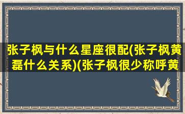 张子枫与什么星座很配(张子枫黄磊什么关系)(张子枫很少称呼黄磊)