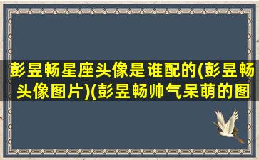 彭昱畅星座头像是谁配的(彭昱畅头像图片)(彭昱畅帅气呆萌的图片)