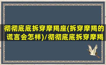 彻彻底底拆穿摩羯座(拆穿摩羯的谎言会怎样)/彻彻底底拆穿摩羯座(拆穿摩羯的谎言会怎样)-我的网站