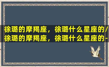 徐璐的摩羯座，徐璐什么星座的/徐璐的摩羯座，徐璐什么星座的-我的网站