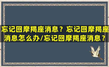 忘记回摩羯座消息？忘记回摩羯座消息怎么办/忘记回摩羯座消息？忘记回摩羯座消息怎么办-我的网站