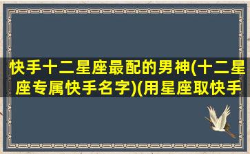 快手十二星座最配的男神(十二星座专属快手名字)(用星座取快手名字)