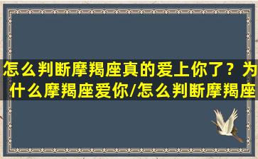 怎么判断摩羯座真的爱上你了？为什么摩羯座爱你/怎么判断摩羯座真的爱上你了？为什么摩羯座爱你-我的网站