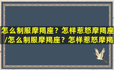 怎么制服摩羯座？怎样惹怒摩羯座/怎么制服摩羯座？怎样惹怒摩羯座-我的网站