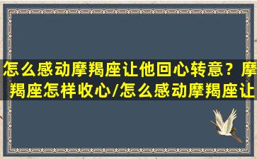 怎么感动摩羯座让他回心转意？摩羯座怎样收心/怎么感动摩羯座让他回心转意？摩羯座怎样收心-我的网站