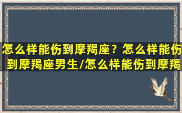 怎么样能伤到摩羯座？怎么样能伤到摩羯座男生/怎么样能伤到摩羯座？怎么样能伤到摩羯座男生-我的网站