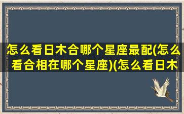 怎么看日木合哪个星座最配(怎么看合相在哪个星座)(怎么看日木相位)