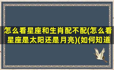 怎么看星座和生肖配不配(怎么看星座是太阳还是月亮)(如何知道星座匹配的另一半)