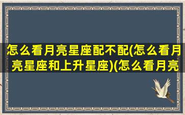 怎么看月亮星座配不配(怎么看月亮星座和上升星座)(怎么看月亮星座和上升星座表)