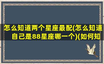 怎么知道两个星座最配(怎么知道自己是88星座哪一个)(如何知道星座匹配的另一半)