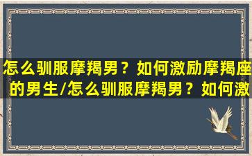 怎么驯服摩羯男？如何激励摩羯座的男生/怎么驯服摩羯男？如何激励摩羯座的男生-我的网站