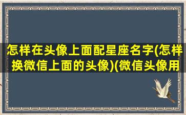 怎样在头像上面配星座名字(怎样换微信上面的头像)(微信头像用星座好吗)