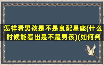 怎样看男孩是不是良配星座(什么时候能看出是不是男孩)(如何判定男孩还是女孩)