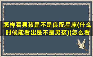 怎样看男孩是不是良配星座(什么时候能看出是不是男孩)(怎么看男孩儿还是女孩儿)