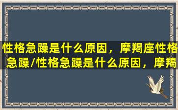 性格急躁是什么原因，摩羯座性格急躁/性格急躁是什么原因，摩羯座性格急躁-我的网站