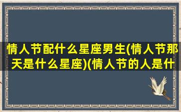 情人节配什么星座男生(情人节那天是什么星座)(情人节的人是什么星座)