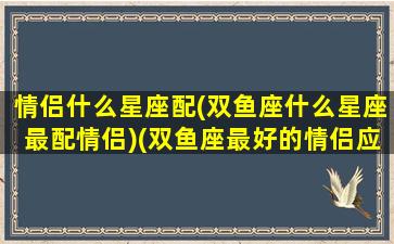 情侣什么星座配(双鱼座什么星座最配情侣)(双鱼座最好的情侣应该是什么星座)