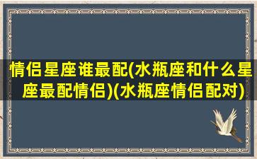 情侣星座谁最配(水瓶座和什么星座最配情侣)(水瓶座情侣配对)