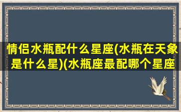 情侣水瓶配什么星座(水瓶在天象是什么星)(水瓶座最配哪个星座做情侣)