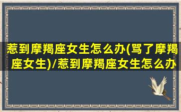 惹到摩羯座女生怎么办(骂了摩羯座女生)/惹到摩羯座女生怎么办(骂了摩羯座女生)-我的网站