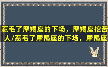 惹毛了摩羯座的下场，摩羯座挖苦人/惹毛了摩羯座的下场，摩羯座挖苦人-我的网站