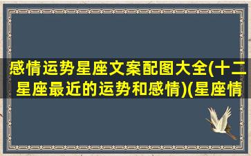 感情运势星座文案配图大全(十二星座最近的运势和感情)(星座情感语录)