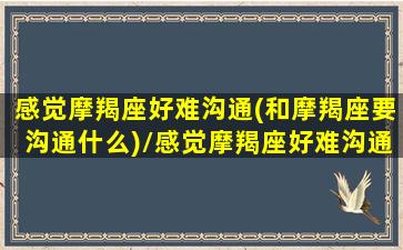 感觉摩羯座好难沟通(和摩羯座要沟通什么)/感觉摩羯座好难沟通(和摩羯座要沟通什么)-我的网站