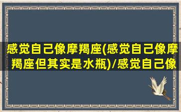 感觉自己像摩羯座(感觉自己像摩羯座但其实是水瓶)/感觉自己像摩羯座(感觉自己像摩羯座但其实是水瓶)-我的网站