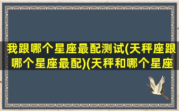 我跟哪个星座最配测试(天秤座跟哪个星座最配)(天秤和哪个星座配对)