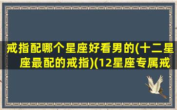 戒指配哪个星座好看男的(十二星座最配的戒指)(12星座专属戒指)