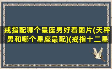 戒指配哪个星座男好看图片(天秤男和哪个星座最配)(戒指十二星座)