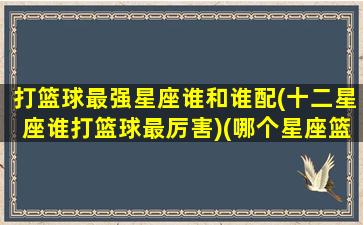 打篮球最强星座谁和谁配(十二星座谁打篮球最厉害)(哪个星座篮球最厉害)