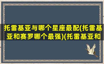 托雷基亚与哪个星座最配(托雷基亚和赛罗哪个最强)(托雷基亚和赛罗变身谁最帅)