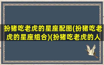 扮猪吃老虎的星座配图(扮猪吃老虎的星座组合)(扮猪吃老虎的人性格特征)