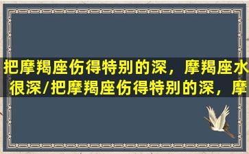 把摩羯座伤得特别的深，摩羯座水很深/把摩羯座伤得特别的深，摩羯座水很深-我的网站