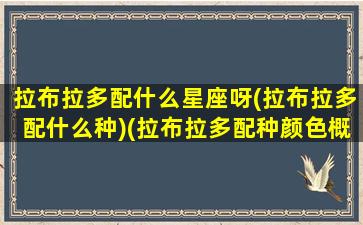 拉布拉多配什么星座呀(拉布拉多配什么种)(拉布拉多配种颜色概率)