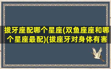 拔牙座配哪个星座(双鱼座座和哪个星座最配)(拔座牙对身体有害吗)