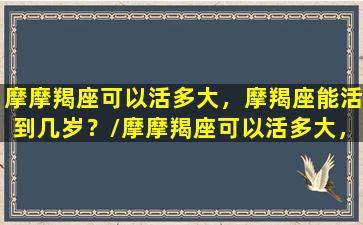 摩摩羯座可以活多大，摩羯座能活到几岁？/摩摩羯座可以活多大，摩羯座能活到几岁？-我的网站