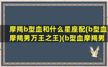 摩羯b型血和什么星座配(b型血摩羯男万王之王)(b型血摩羯男最佳配偶)