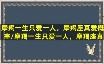 摩羯一生只爱一人，摩羯座真爱概率/摩羯一生只爱一人，摩羯座真爱概率-我的网站