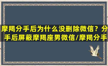 摩羯分手后为什么没删除微信？分手后屏蔽摩羯座男微信/摩羯分手后为什么没删除微信？分手后屏蔽摩羯座男微信-我的网站