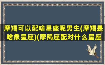 摩羯可以配啥星座呢男生(摩羯是啥象星座)(摩羯座配对什么星座的男生)