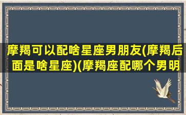 摩羯可以配啥星座男朋友(摩羯后面是啥星座)(摩羯座配哪个男明星)