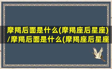 摩羯后面是什么(摩羯座后星座)/摩羯后面是什么(摩羯座后星座)-我的网站