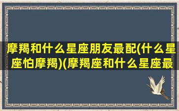 摩羯和什么星座朋友最配(什么星座怕摩羯)(摩羯座和什么星座最配做朋友)