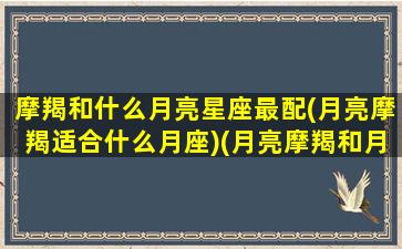 摩羯和什么月亮星座最配(月亮摩羯适合什么月座)(月亮摩羯和月亮摩羯在一起)