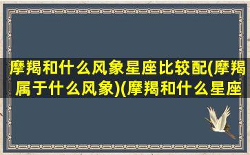 摩羯和什么风象星座比较配(摩羯属于什么风象)(摩羯和什么星座相冲)