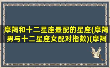 摩羯和十二星座最配的星座(摩羯男与十二星座女配对指数)(摩羯座和十二星座男会在一起谈恋爱吗)