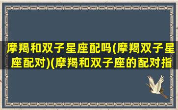 摩羯和双子星座配吗(摩羯双子星座配对)(摩羯和双子座的配对指数)